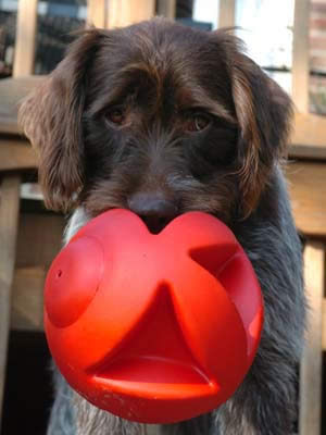 Crushed, but I can still pick up my toys for you.  9243