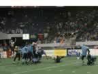 0210.jpg (22kb)