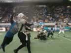 0310.jpg (23kb)