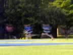 0576.jpg (6kb)